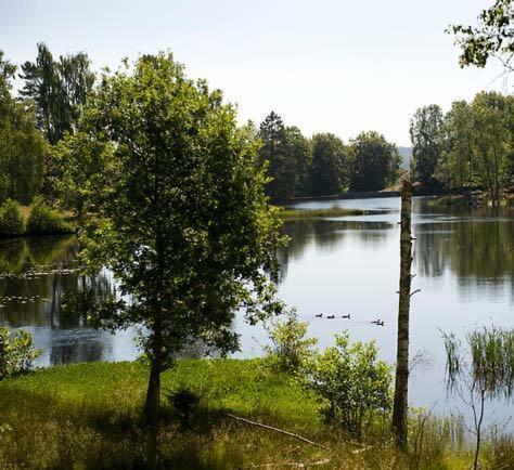 فندق Thorskogs Slott Lödöse المظهر الخارجي الصورة